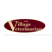 The Village Veterinarian Nyc