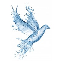 Bluebay Organic Cleaning logo - Similar company to California Plus Engineering