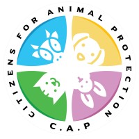 Citizens for Animal Protection Foundation logo - Similar company to Thane Spca