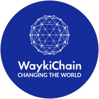 WaykiChain维基链 logo - Similar company to Surfin