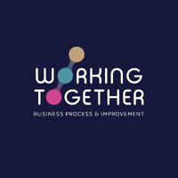 Working Together CommV logo - Similar company to Palmyras