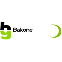 Bakone Business Management Consulting logo - Similar company to Bakone Consulting Engineers