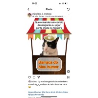 Cultura Idiomas E Intercâmbios