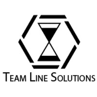 TEAM LINE SOLUTIONS logo - Similar company to Delta Store Cbd