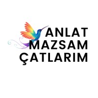 Emine Çakır Çavdar logo - Similar company to Stay On Way