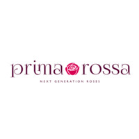 Primarossa