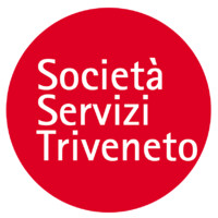 Società Servizi Triveneto Srl logo - Similar company to 4 Consulting Srl