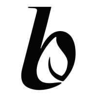 brandseed - Transformation gestalten logo - Similar company to Onlypants