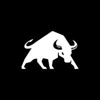 Onyx Development logo - Similar company to Justice Data And Design Lab