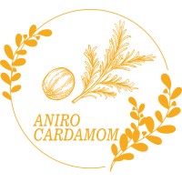 PT ANIRO GROUP NUSANTARA logo - Similar company to Pt. Dyno Teknologi Indonesia