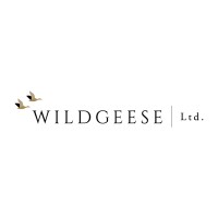 Wild Geese Ltd logo - Similar company to 2X.Group