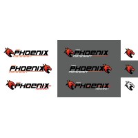 Team Phoenix Motorsport logo - Similar company to One Group Engineering