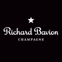 Richard Bavion logo - Similar company to Snash Gmbh