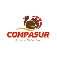 Compasur logo - Similar company to Grupo Pulser