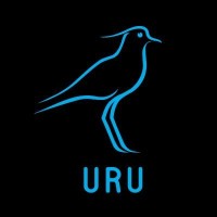 Unión de Rugby del Uruguay logo - Similar company to Solcre