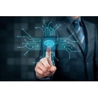 VLSI Embedded Trainings logo - Similar company to Think Silicon