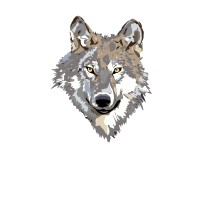 Merch by Amazon logo - Similar company to Merch.Com
