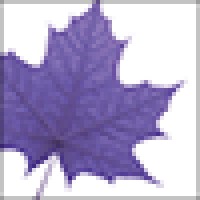 Wilfrid Laurier University Alumni logo - Similar company to Pakistani Students Association - Wilfrid Laurier University