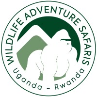 Wildlife Adventure Safaris logo - Similar company to Status Quo Travels Pvt Ltd