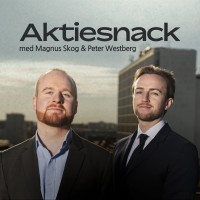 Aktiesnack logo - Similar company to Bolivs