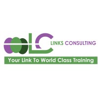 Links Consulting (Pty) Ltd logo - Similar company to Anfe Consulting