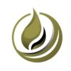Lodel Energy Resources Corporation logo - Similar company to Ramsis Group