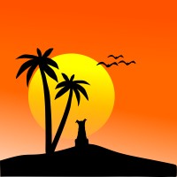 Soulkiks logo - Similar company to Possible Trip