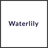 Waterlily logo - Similar company to Converge (Yc S23)