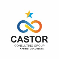 Castor Consulting Group مجموعة كاستور الاستشارية logo - Similar company to 9Grid