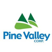Pine Valley Recruiting logo - Similar company to Niza Solutions