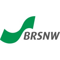 BRSNW logo - Similar company to Sofieke Van Bilsen