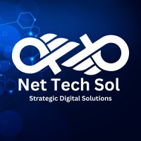 Net Tech Sol logo - Similar company to Petal Swift Organic