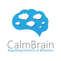 CalmBrain logo - Similar company to Iffd - Institut Français De Finance Et De Data