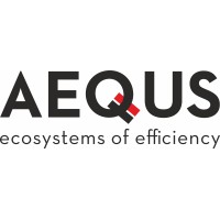 AEQUS AEROSPACE FRANCE logo - Similar company to Aequs Limited