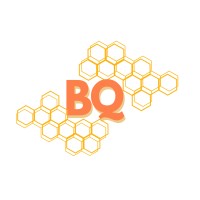 BotQueen logo - Similar company to Billullonex