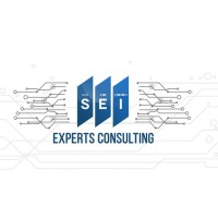 Experts Consulting Inc logo - Similar company to Celeritas Digital