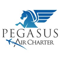 Pegasus Air Charter logo - Similar company to Pegasus Profiles Ltd