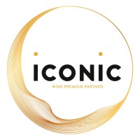 ICONIC Group logo - Similar company to Prolectro