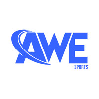 AWE Sports - Ice Hockey logo - Similar company to Procosom