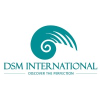 DSM International Private Limited logo - Similar company to Maruka Technologies (Pvt) Ltd