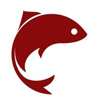 Lee Valley Ireland logo - Similar company to Triona