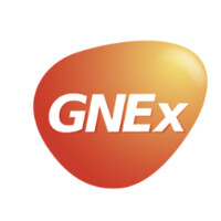 Green Natural Extracts - India logo - Similar company to Elixir Extracts Private Limited