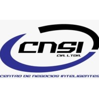 CNSI logo - Similar company to Cnsi