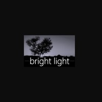 BrightLight | LPHC logo - Similar company to Truescope (North America)