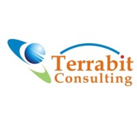 Terrabit Consulting logo - Similar company to Skitech Solutions