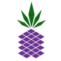 Purple Pineapple Cannabis Co logo - Similar company to Glow Cannabis