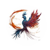 Metamorphosis Eduployment Foundation - MEF logo - Similar company to Seeds And Deeds