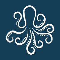 Juggling Octopus - Business Support & Consultancy logo - Similar company to Lestari Project Services