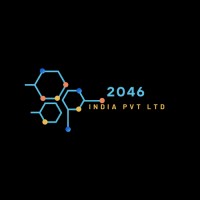 2046 India Pvt Ltd logo - Similar company to Mygen Informatics