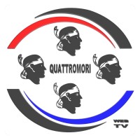 Quattromori Web TV logo - Similar company to Kowalweb